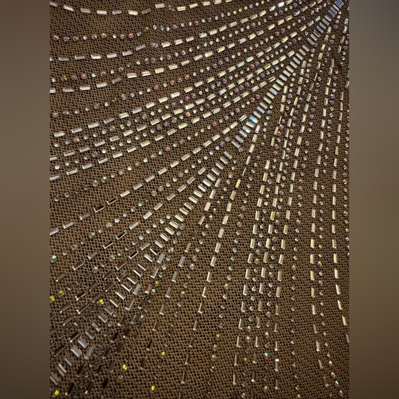 Fashion Nova Sheer Bedazzled Long Sleeve Gown Caught Your Attention Embellished - Picture 8 of 16